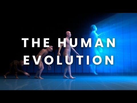 The Human Evolution | MNDS SHORT STORY