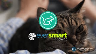Eversmart Rodent by Microshare - “I used to be pretty good at this…”