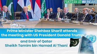 PM Shehbaz Sharif at Arab-Islamic Leaders' Meeting | Hosted by Donald Trump & Amir of Qatar