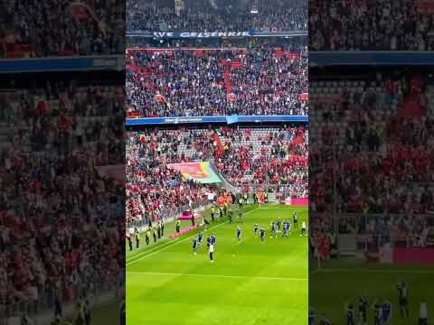 Südkurve München vs. Schalke Gästefans #shorts