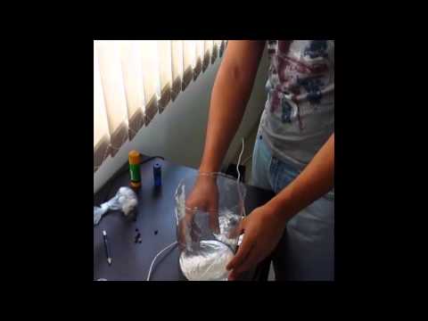 electric field home experiment