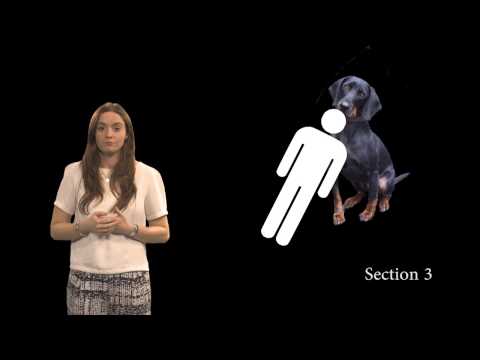 Things School Didn't Teach You About the English Language (survey version 2)