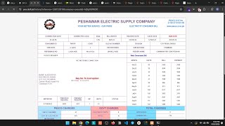 Critical IDOR Vulnerability in Pakistan Electricity Billing System (PESCO) | Bug Bounty PoC