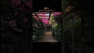 🥹❤️‍🩹😥 #subscribe #explorenow #like #youtubeshorts #trandingshorts #viralvideo #shortfeed #vewers