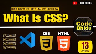 Learn CSS Basics: What is CSS & How to Use It | codeBhidu