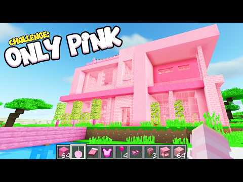 Minecraft BUT I Can Only Build With PINK!