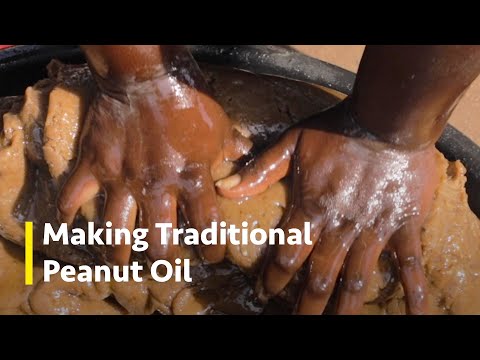 How Groundnut Oil Is Made