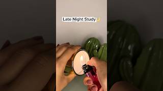 Late Night Study With Me📚  #studywithme #shorts #cozystudy #focus (No sponsored content.)