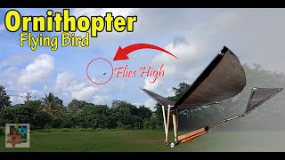 Ornithopter Fly High | DIY Flying Bird | Mechanical Bird | Rubber Band Powered | Flapping Mechanism