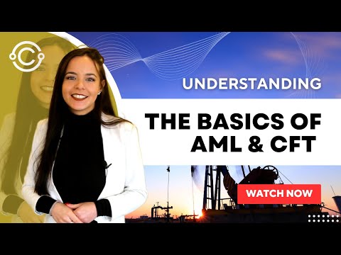 Understanding the Basics of Anti-Money Laundering (AML) and Terrorist Financing (TF)