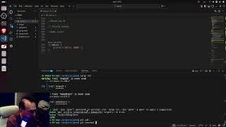 Game Engine Nobody Needs. Part 1: Pong #gamedev #rust #dev