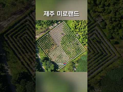 꼭 가봐야 할 명소 메이즈랜드 제주 #travel #bestscenery #여행