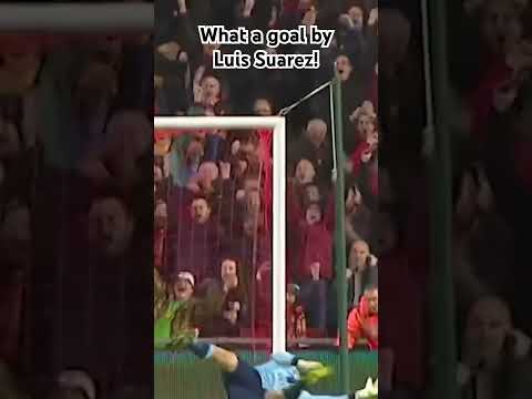 Luis Suarez Insane Banger! #banger #luissuarez #aasder