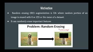 Stride Random Erasing Augmentation
