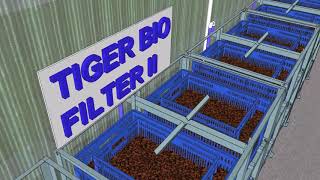 10 KLD FSTP Wayanad (Tiger Bio Filter Technology) (Animation)