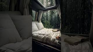 Rainy Day Cozy Van Life #vanlife #cozyvibes #rainyday