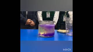 #exploringscience #buddingscientists #science #sciencearoundus #dpsgbn1