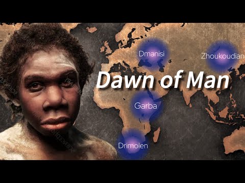 The Complex Origins Of Homo Erectus