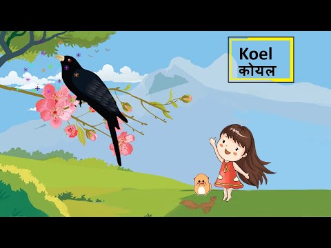 Hindi poem: Class 4: Koel