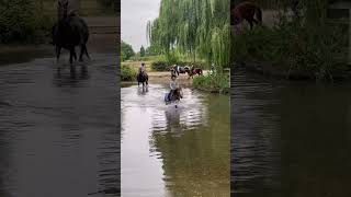 A Hack with Pony Club Friends at The Ford pt2 🌊🐴 #youtubeshorts #horse #hackingout