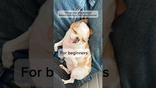 #youtubechannel #startayoutubechannel #subscribe #tipsyoutube @youtubecreators ￼￼￼￼