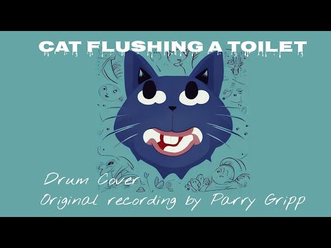 Drum Cover: Cat Flushing A Toilet -  Parry Gripp