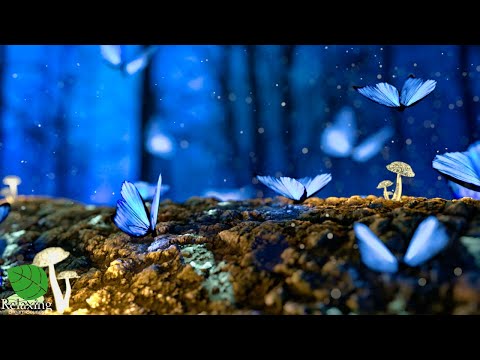 Relaxing Music and Beautiful Nature - Soothing Meditation Music