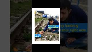 waiting for sbi clerk mains result😂😂#sbiclerkresult #bankresult #bankingaspirants #viralshorts