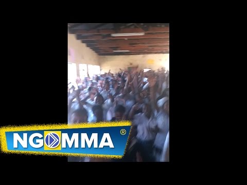 Ringtone "Jubilation remix" performance video