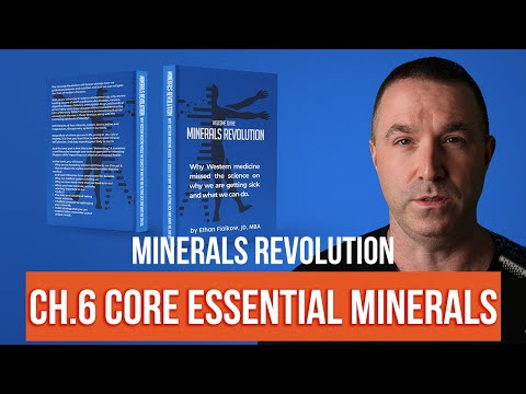 【Minerals Revolution】Chapter 6: Core Essential Minerals