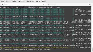 Programming {{ java gradle blade hibernate postgres }} api