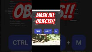 Photoshop’s Object Selection Tool Just Got Even Better (and Faster)