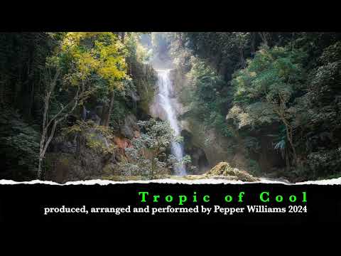 Tropic of Cool - (soprano sax cover)