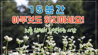 멍때리기 15분 루틴 | 집중력, 두뇌 향상을 위한 완전한 뇌 휴식, 뇌 충전, 뇌 리셋