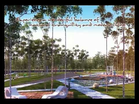 Sunville Showreel