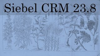 Siebel CRM 23.8 Update Summary - Squeaky Clean