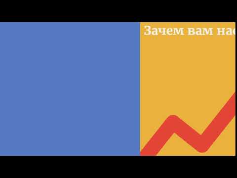 Відео інфографіка для SEO студії