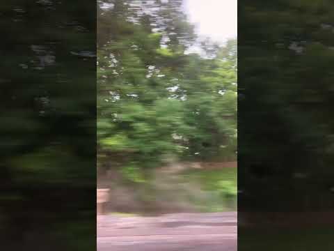 Commute