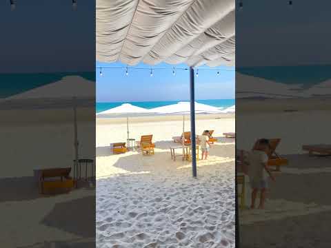 🕶️ Cool Jazz, Warm Breeze