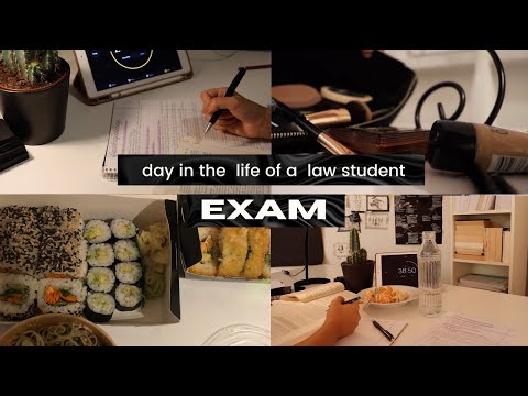 EXAM STUDY VLOG // 24h before exam