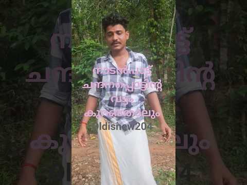 oldisnew #entertainment#vedantmusicalparty#trending#nadanpattu #thamilentertainment kalabhavanmani ​