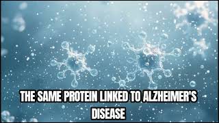 Did You Know Your Brain Washes Itself While You Sleep? (Neuroscience Explained)