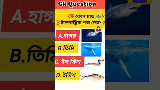 Fish 🐟#shortsfeed #ytshort #ytviralshorts #gkquiz #eelfishing #ai#trendingshorts #facts #question