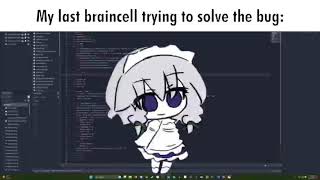 Me Trying To Solve Bugs