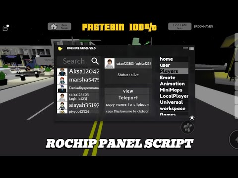 ROCHIP PANEL V5.0 FOR BROOKHAVEN AND NATURAL DISASTERS