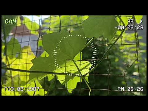 Westlife Greatest Hits Playlist   The Best Of Westlife   Westlife Love Songs Full Album 2025 ! hi