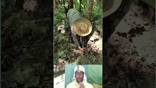 Top Learning Tools for Tech 🔥 Enthusiasts | Smart Gadgets & Creative Learning #shorts #viralshorts🔥🙏