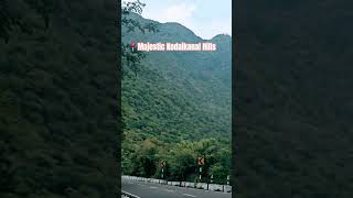 📍Kodaikanal Hills, Tamilnadu #shorts #youtubeshorts #kodaikanal #mountains