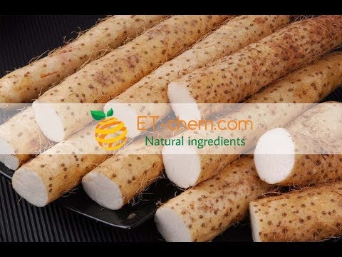 Wide yam extracts, Dioscorea opposite, Diosgenin, Root dry extracts,benefits, production 2018