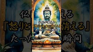 「仏陀が教える『怒りと不安が消える』たった一つの瞬間...2500年前から伝わる魂の処方箋」